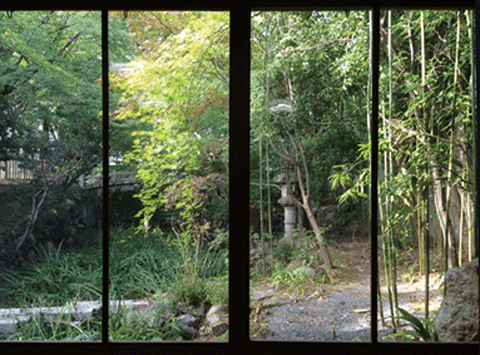 体験場所：若宮神社（陶器神社）座敷から見る日本庭園